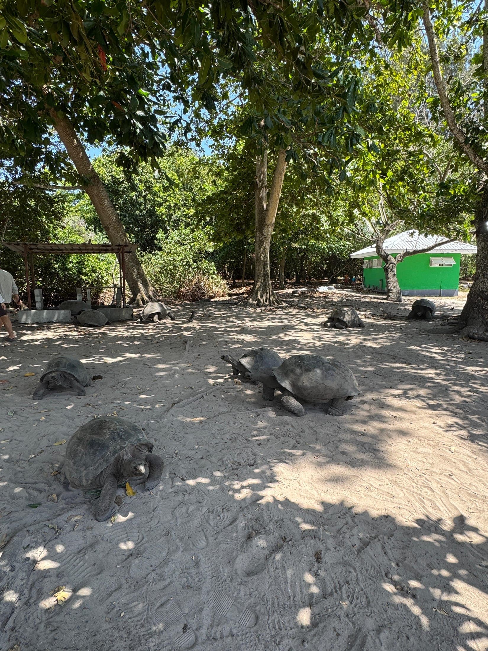 Ziblo Boat Charter guests in Seychelles — photo 3