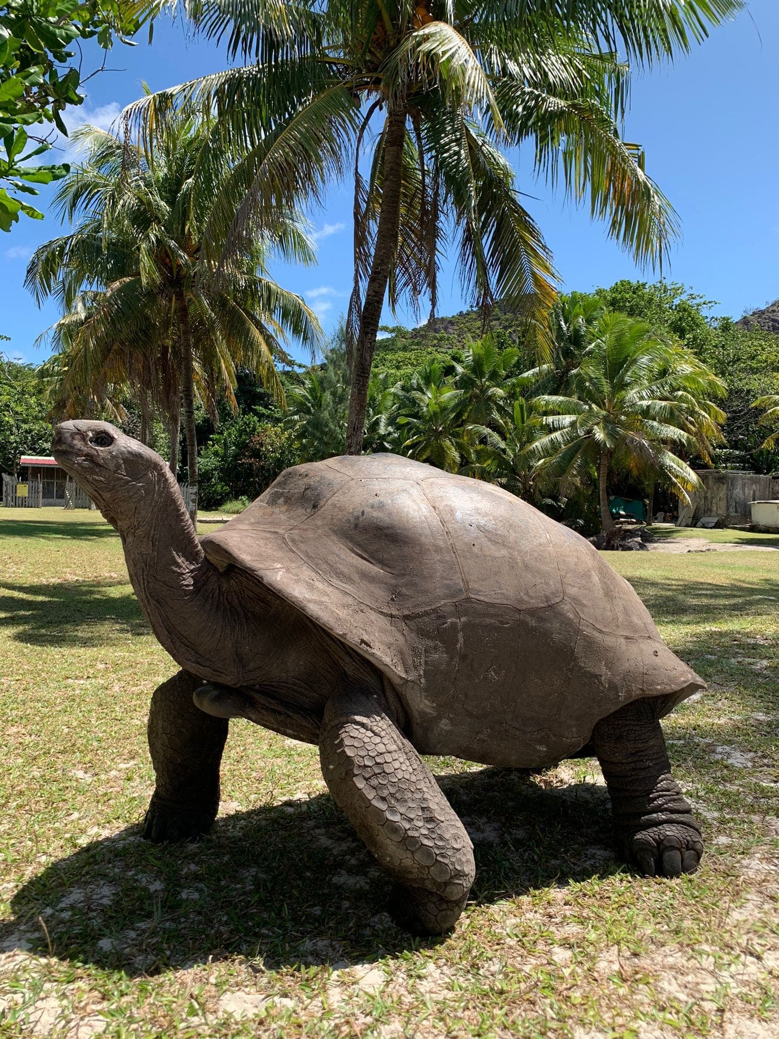 Ziblo Boat Charter guests in Seychelles — photo 11